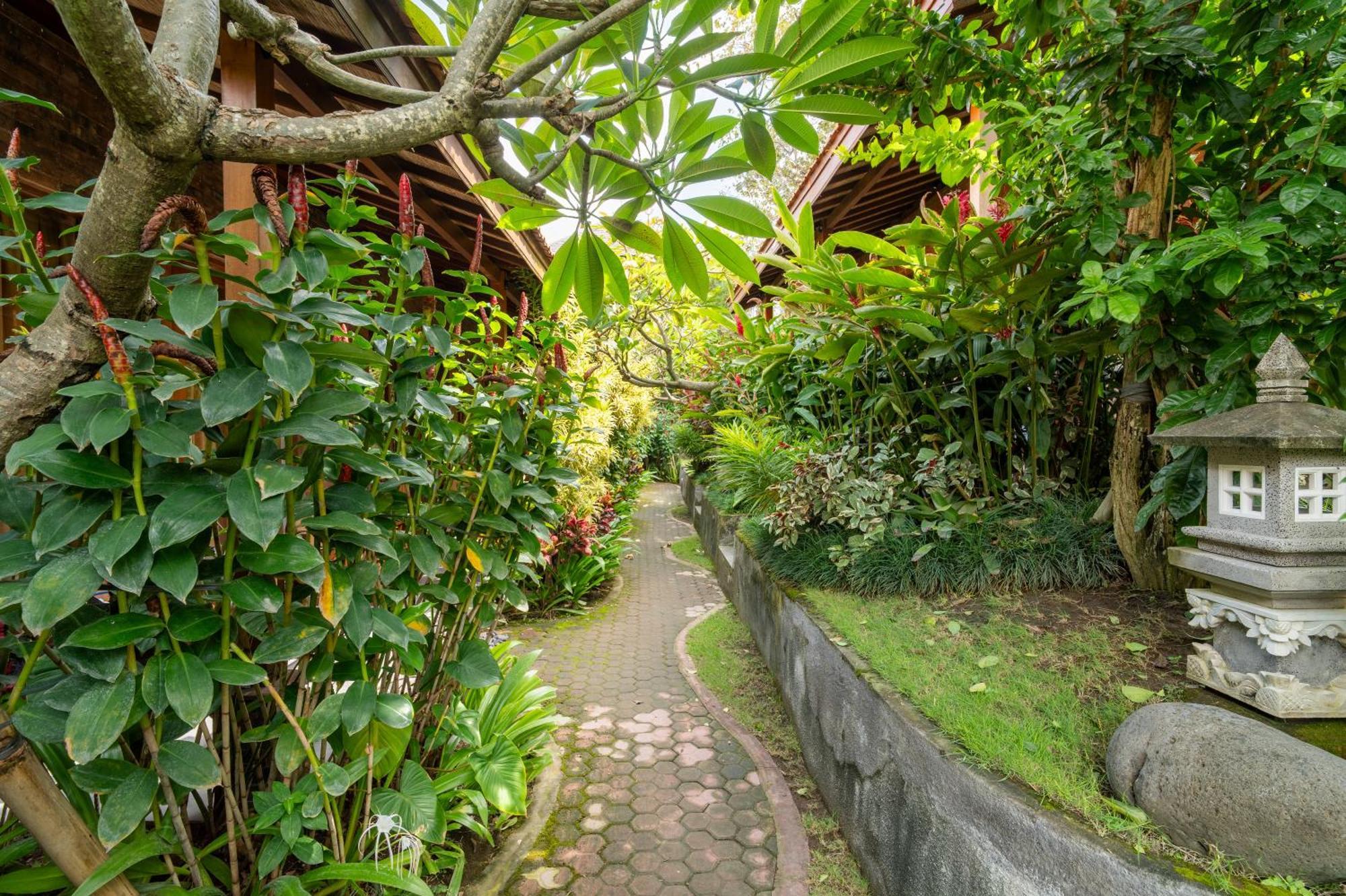 Jinar Guest House Canggu Eksteriør billede